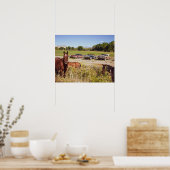 非常に多くの馬// 3錆びた車 ポスター (キッチン)