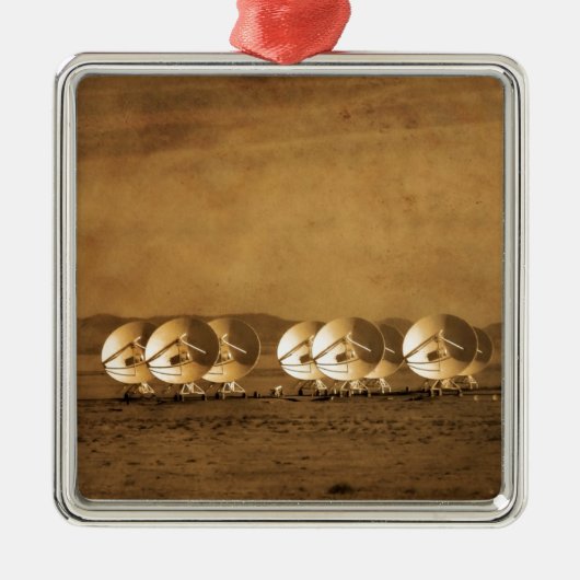 非常に大きい配列 メタルオーナメント (正面)