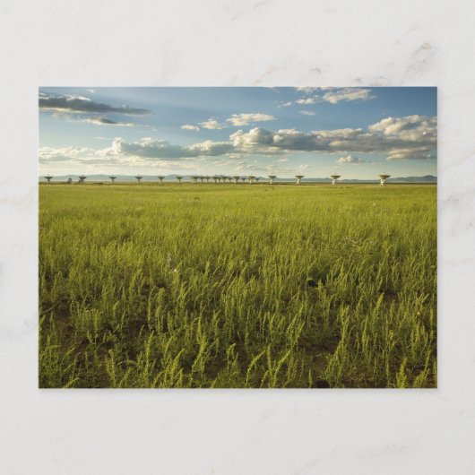 非常に大きなアレイ ポストカード (正面)