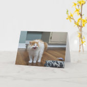 "非常に怖い" – デウェはすべて浮かんでいる カード (黄色い花)