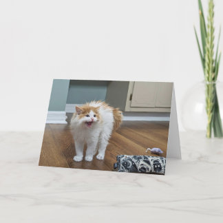 "非常に怖い" – デウェはすべて浮かんでいる カード