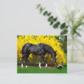 「非常に悪いアイディア」 ポストカード (スタンド正面)