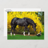 「非常に悪いアイディア」 ポストカード (正面/裏面)