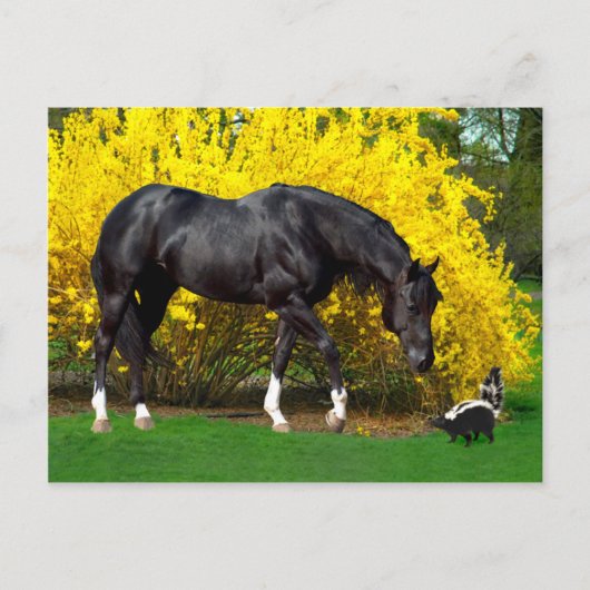 「非常に悪いアイディア」 ポストカード (正面)