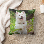 非常に愛らしい白犬の写真デザイン クッション (ブランケット)