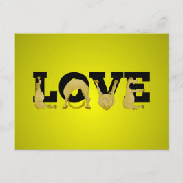 非常に柔軟なポニーによって作られたLOVE ポストカード