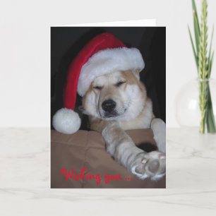 非常に柴犬のクリスマスカード シーズンカード