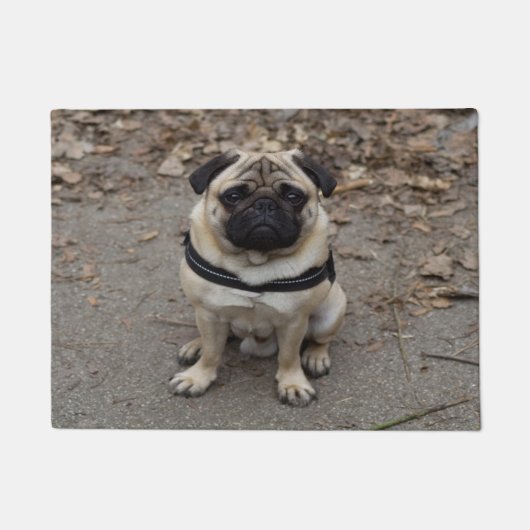 非常に深刻な失敗 ドアマット (正面)