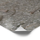 非常に深刻な失敗 ポスター (コーナー)