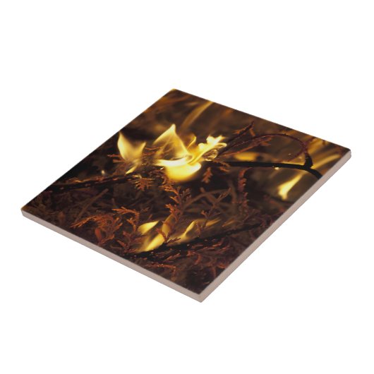 非常に熱い枝 タイル (側面)