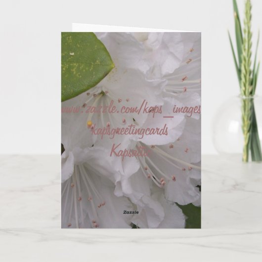 非常に特別な母親 カード (裏面)