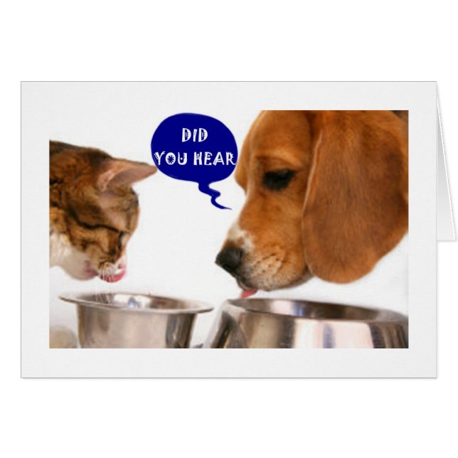 非常に特別な若い女***21*** (正面横)