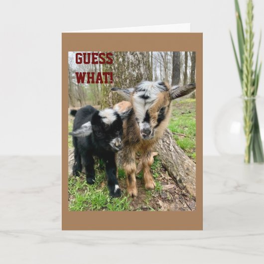 「非常に特別な」誰かが**誕生日** カード (正面)