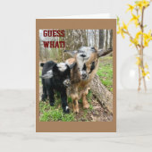 「非常に特別な」誰かが**誕生日** カード (黄色い花)