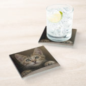 非常に甘い虎猫の子ネコ ガラスコースター (アングル)