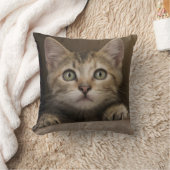 非常に甘い虎猫の子ネコ クッション (ブランケット)