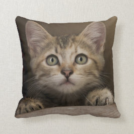 非常に甘い虎猫の子ネコ クッション