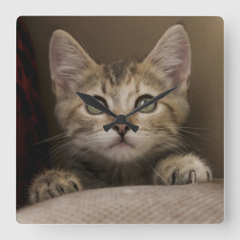 非常に甘い虎猫の子ネコ スクエア壁時計