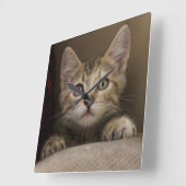 非常に甘い虎猫の子ネコ スクエア壁時計 (傾斜)