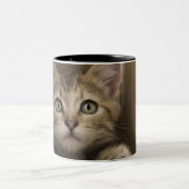 非常に甘い虎猫の子ネコ ツートーンマグカップ (中央)