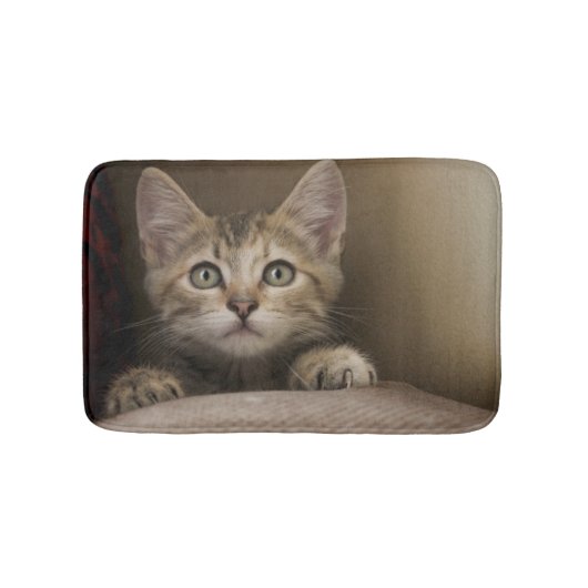非常に甘い虎猫の子ネコ バスマット (正面)