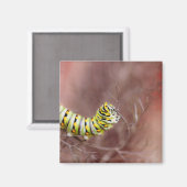 非常に空腹な毛虫 マグネット (正面/裏面)