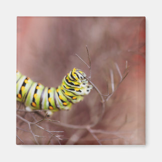 非常に空腹な毛虫 マグネット