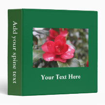 非常に美しい春、夏のピンクのツツツジの花。