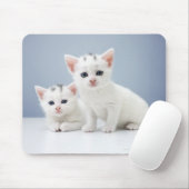 非常に若い二人の白い子猫が疑わしげに見つめる マウスパッド (マウス)