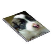 非常に若い子犬かわいい ノートブック (右側)