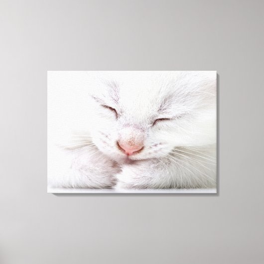 非常に若い白の極端なクローズアップ キャンバスプリント (正面)