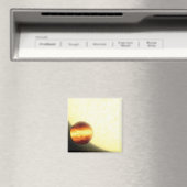 非常に近くを周回するガス巨大な惑星 マグネット (インサイチュ (食洗機))