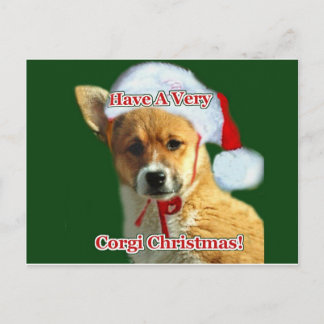 非常に適切なクリスマスを過ごす – 慈悲 シーズンポストカード