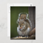 非常に静かである ポストカード (正面/裏面)