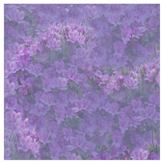 非常にperi-pantone色のペラルゴニウムの花 ファブリック (クローズアップ)