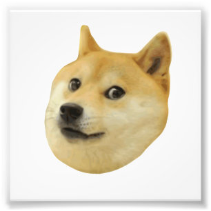 非常の総督のワウ多くの犬そのようなShiba Shibe Inu フォトプリント