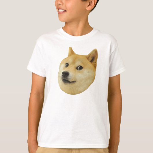非常の総督のワウ多くの犬そのようなShiba Shibe Inu Tシャツ (正面)