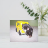 非常口ノア ポストカード (スタンド正面)