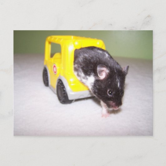 非常口ノア ポストカード (正面)