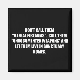 非文書化された武器を銃で制御 マグネット