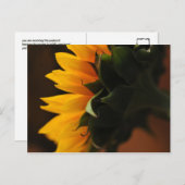 非日常美しい葉書(ひまわり) ポストカード (正面/裏面)