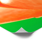 非暴力に進化する。ビーガン。 ポスター (角)