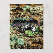 非準拠 ポストカード (正面)