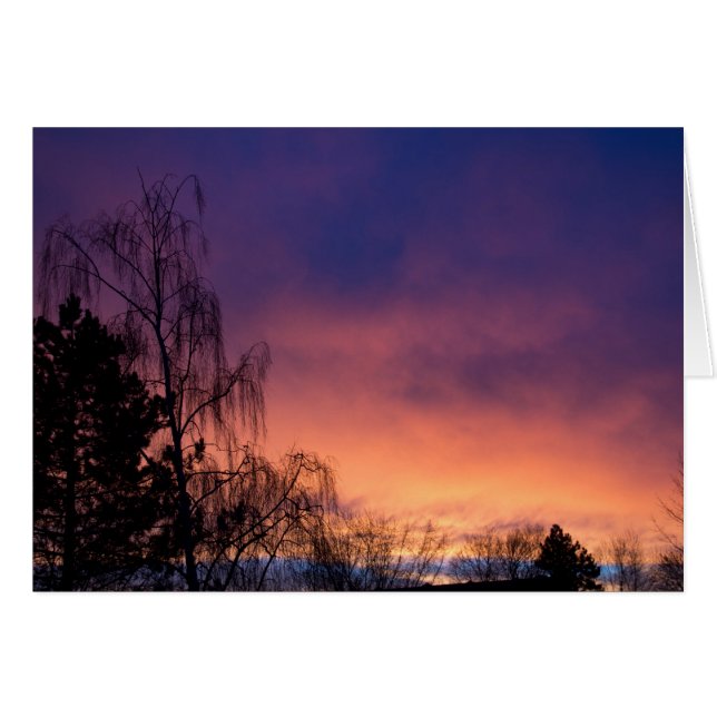 非現実的な冬の夜明け (正面横)