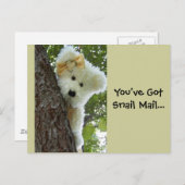 非表示とシーク ポストカード (正面/裏面)