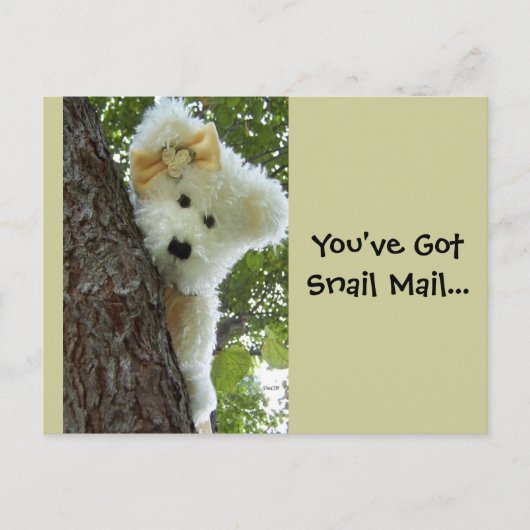 非表示とシーク ポストカード (正面)