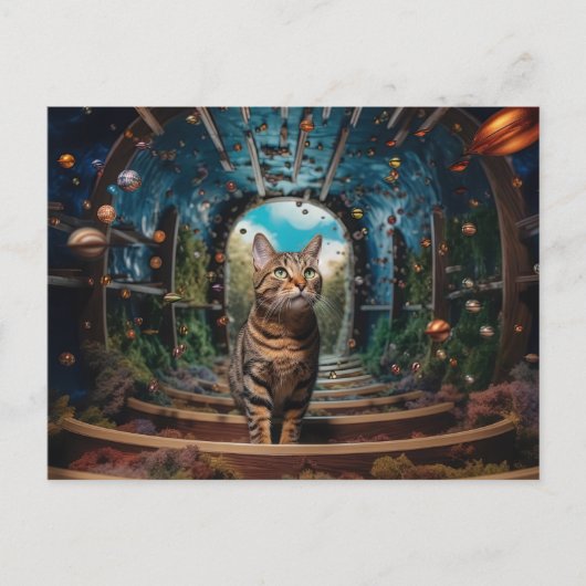 非表示ポータル子猫 ポストカード (正面)