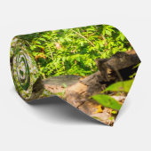 非表示滝ネックタイ ネクタイ (ロール)