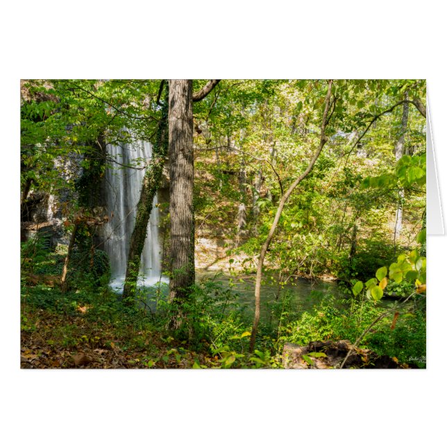 非表示滝 (正面横)