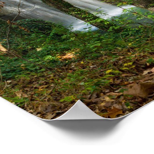 非表示滝 ポスター (角)